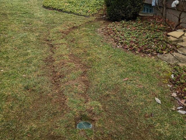 Lawn Outlet in Oxford, OH