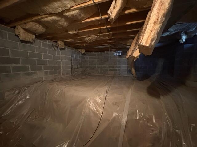 Crawl Space Before