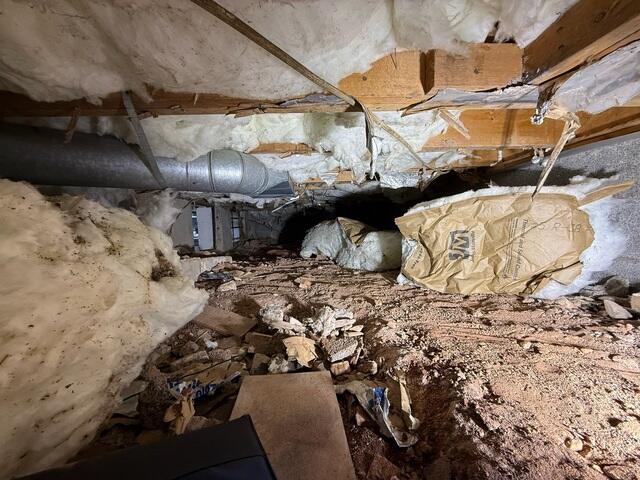 Crawl Space Before
