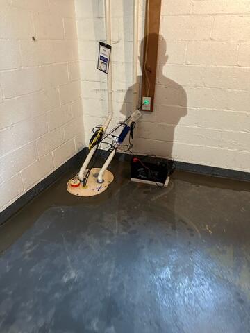 TripleSafe Sump Pump