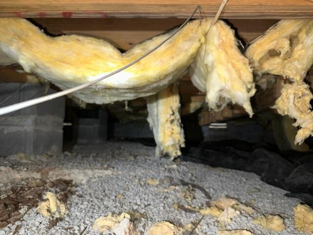 Crawl Space Damage