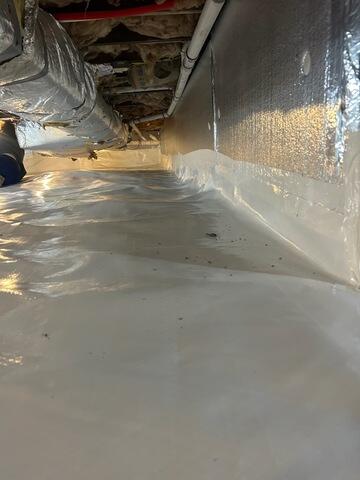 SilverGlo Insulation