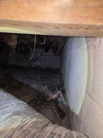 Crawlspace