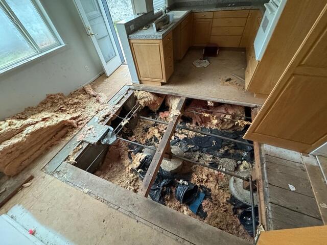 Crawl Space Entry Point