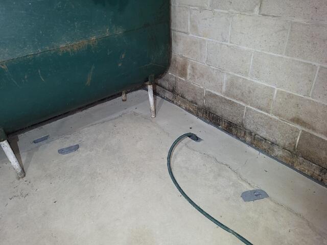 Flushing the WaterGuard System