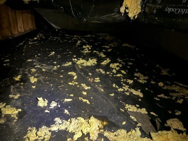 Fiberglass insulation