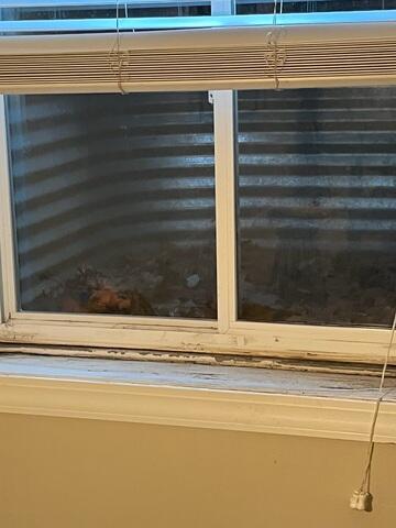 Identifying a Deteriorating Basement Window
