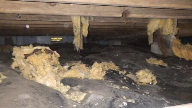 Debris, Mold, and Failing Vapor Barrier in the Crawl Space