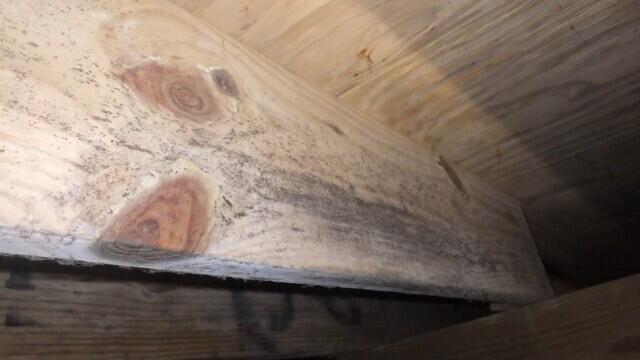 Mold Visible on Floor Joists Requiring Soda Blasting