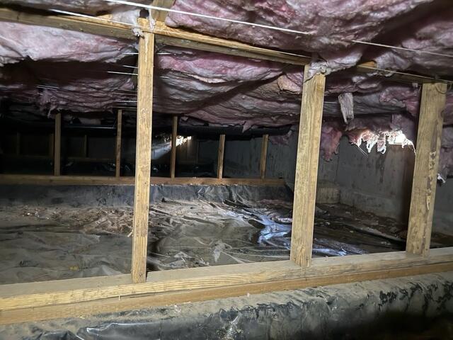 Crawl Space Before