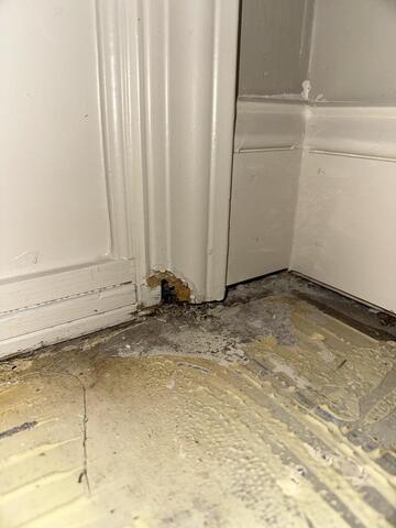 Water Damaged Door Frame Repair