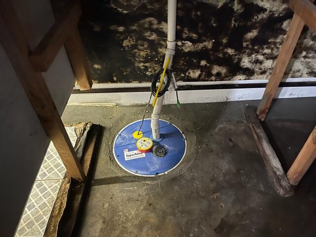 Sump Pump