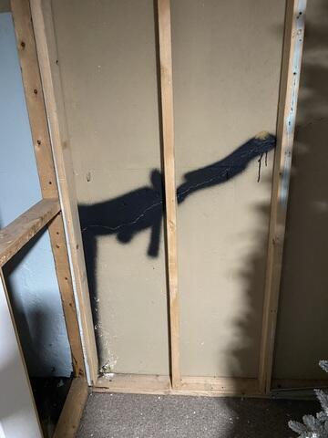 Crack Running Through Garage