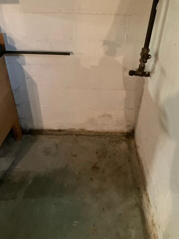 Stained Basement