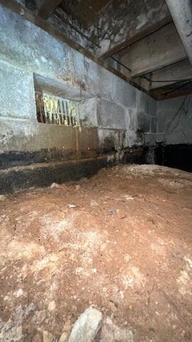 Mold Spreading Along Concrete and Floor Joists
