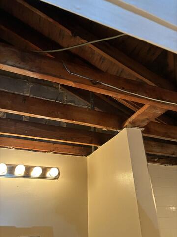 Strong Mold Stain Remover