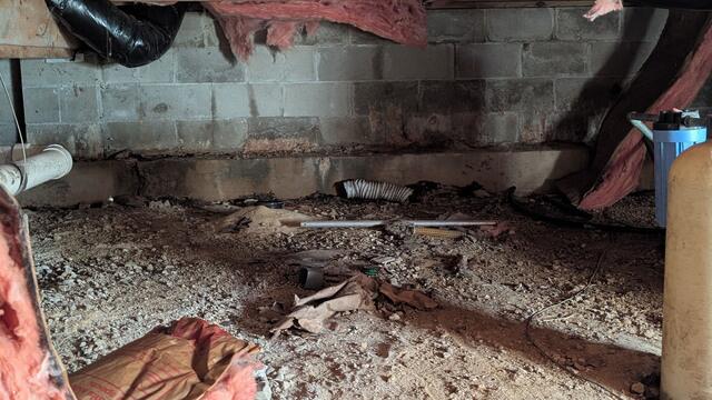 We carefully and properly removed every single contaminated item out of the crawl space and then treated the entire area with our EPA-registered antimicrobial solution called Mold Abatement Polymer Solution 1. Nicknamed MAPS 1 for short, this application targets mold at its DNA and immediately...