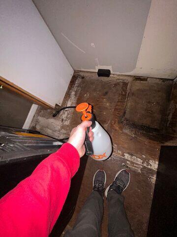 Water Damage and Mold Removal