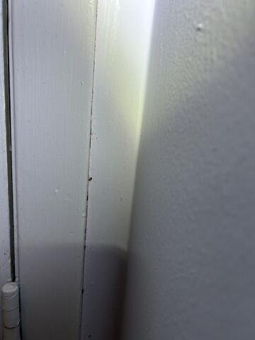 Some in the Door Frame