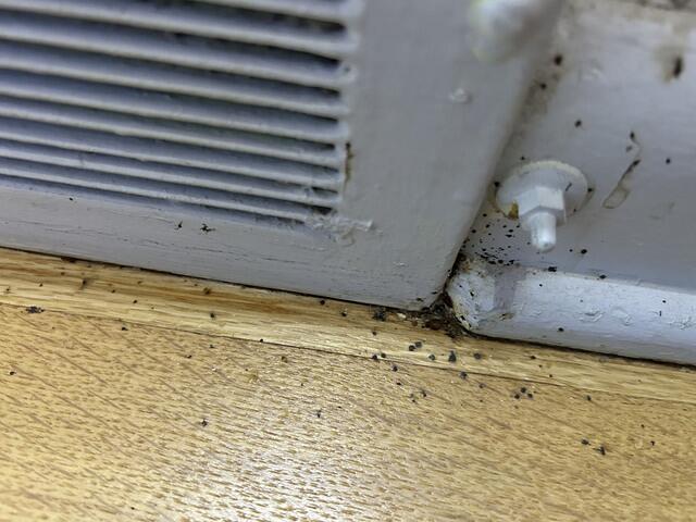 In the Corner of the Room