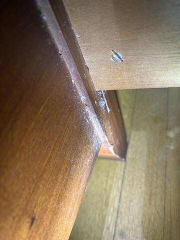 Come Back Until They're Gone