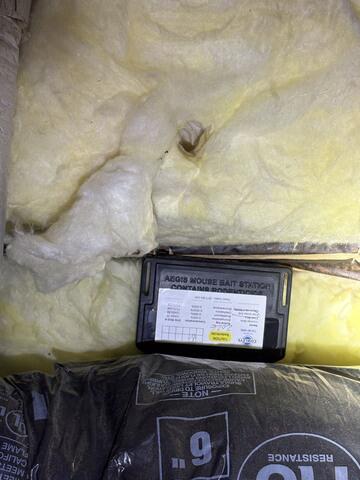 Lots of Mice Tunnels