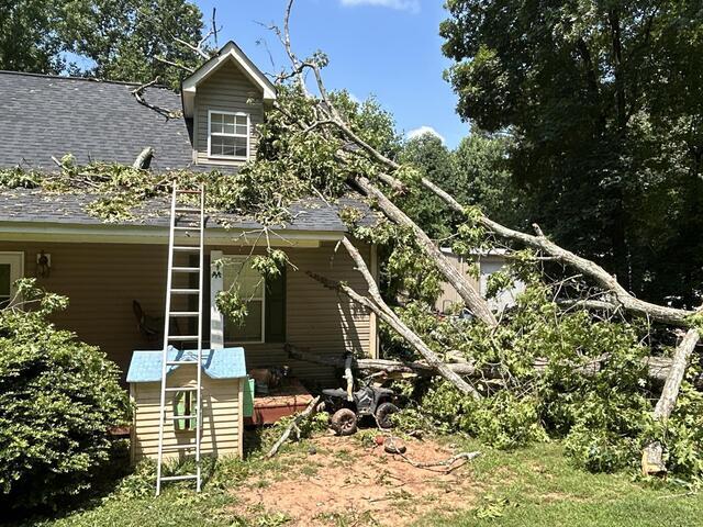 Fallen Tree and Storm Damage Roof Repair