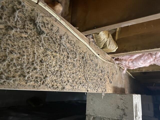 Wet Crawl Space in Tipp City, OH