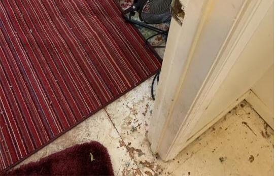 Content Removal and Structural Cleaning