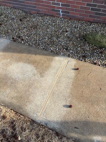 DIY Results Won't Last