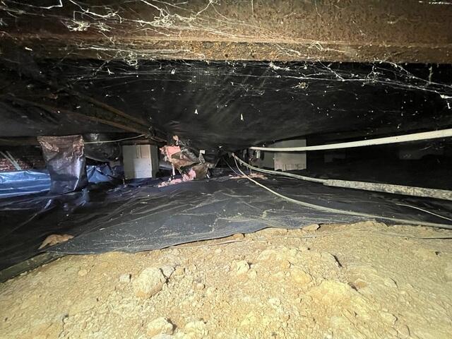 Crawl Space During Inspection