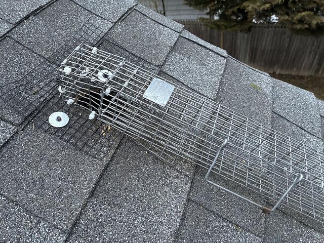 We Will Stay Positive