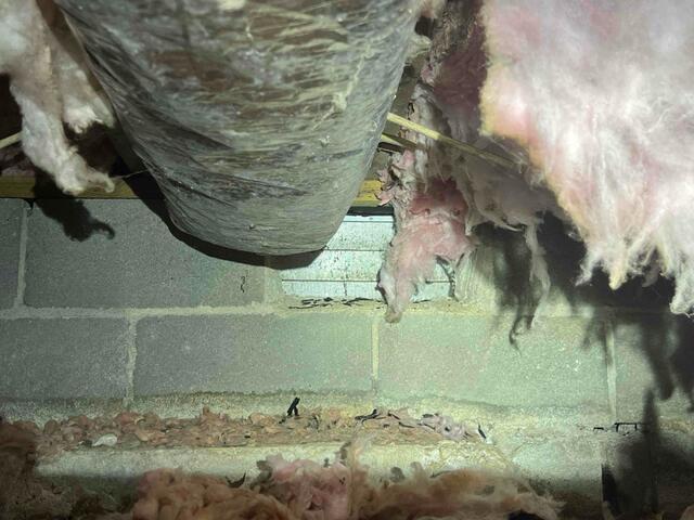 Vents Let in Humidity, Insulation Falls