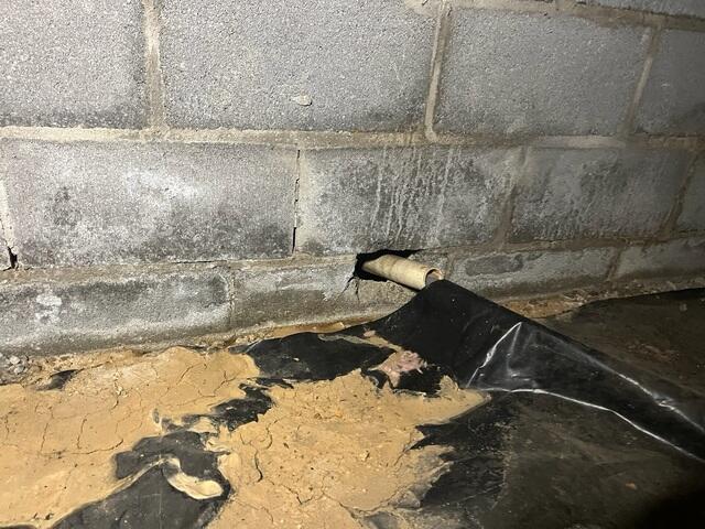 Efflorescence and Pooling Water