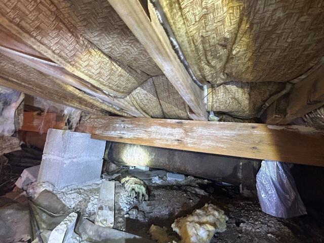 Mold in the Crawl Space