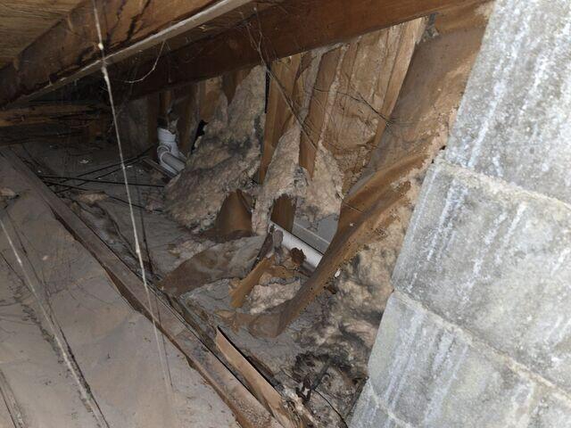 Old Insulation