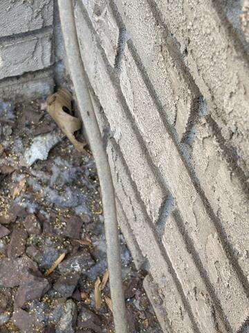 Sharing the Treatments