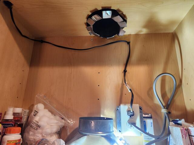 Flew into Kitchen Hood