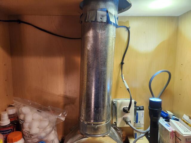 Disassemble & Disinfest