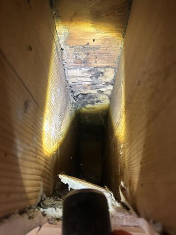 Spreads Fast Throughout the Colony