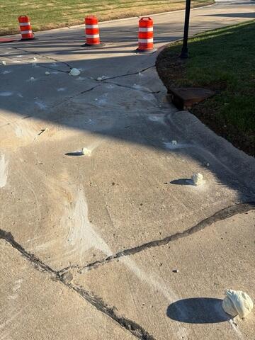 Concrete Driveway Repair & Leveling