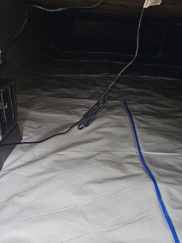 Crawl Space Repair