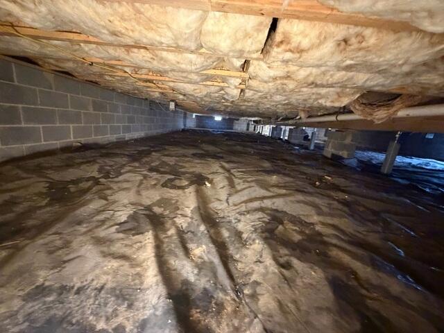 Crawl Space Before