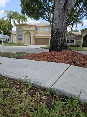 Concrete Sidewalk Tripping Hazard