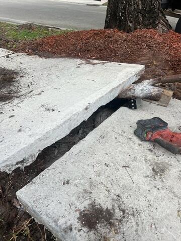 Removing Tree Root Beneath Sidewalk