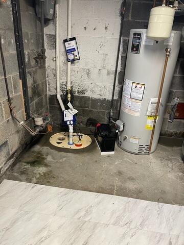 TripleSafe Sump Pump