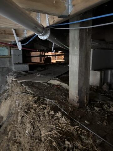 Damp Crawl Space