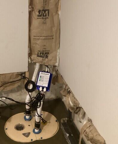 TripleSafe Sump Pump System