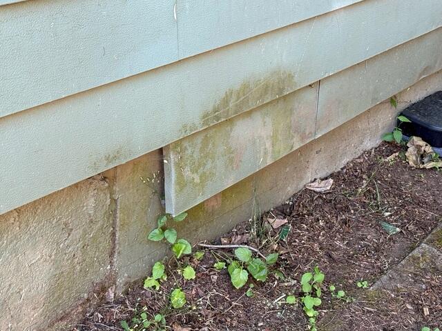Exterior Siding Detaching From Wall