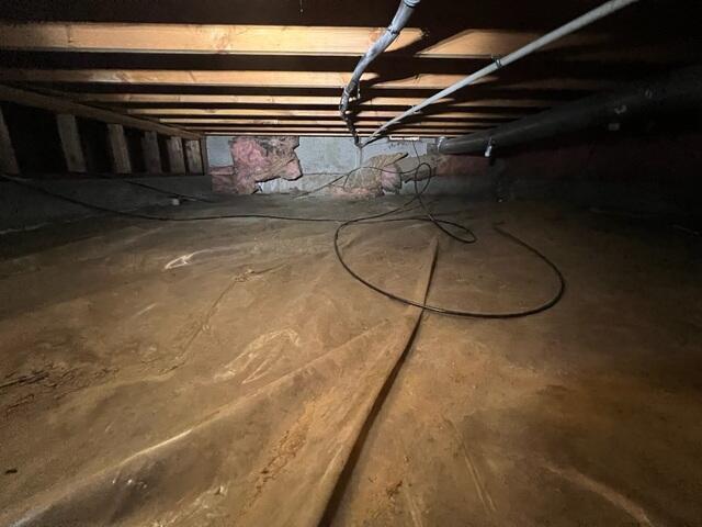 A Nasty, Damp Crawl Space